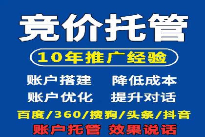 行业趋势下的SEM竞价代运营策略及成功实例